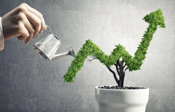 Инветор растит доходы