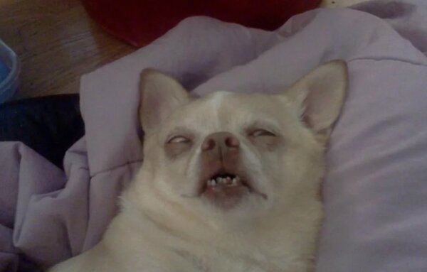 Он не спал 2 дня