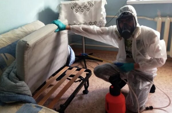 Травля муравьев с крыльями