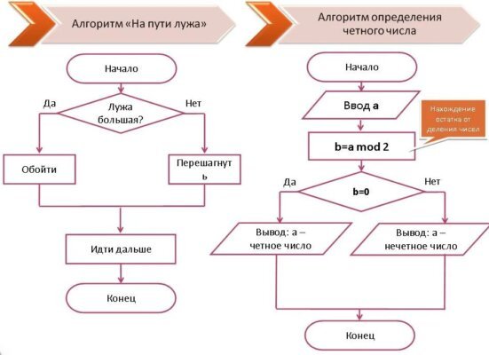 Алгоритмы в жизни- 2 типа