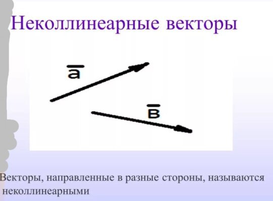 Неколлинеарные векторы