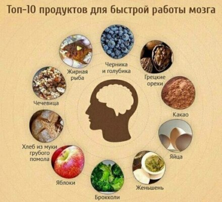 10 продуктов для мозга