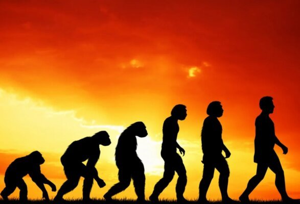 Человек эволюционировал из обезьяны