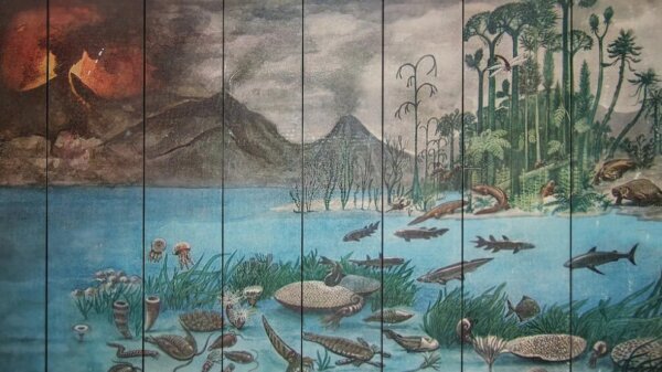 Развитие природного мира