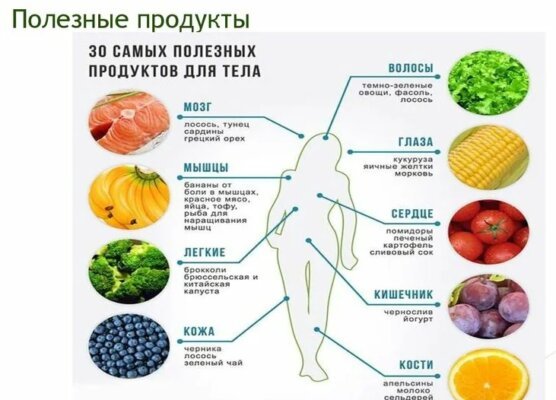 Самые полезные продукты для человека