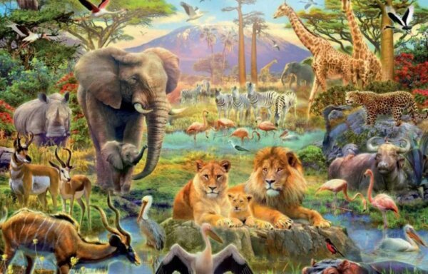 Вот к чему привела эволюция