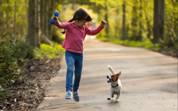 Так наш мозг все воспринимает