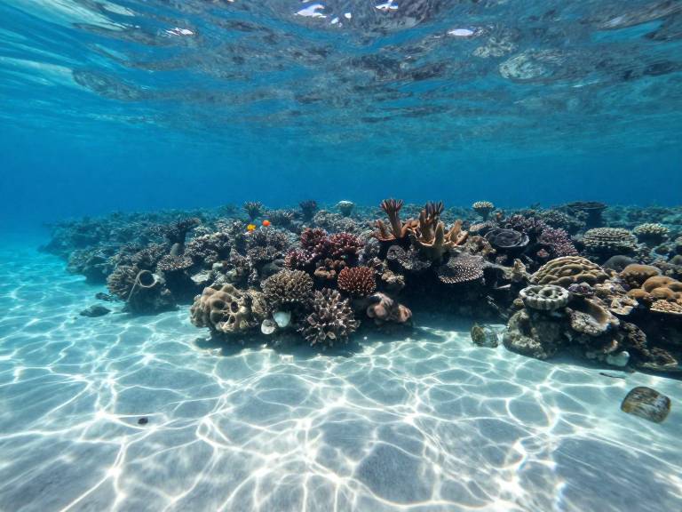 Грунтовые воды хранят углерод в океане